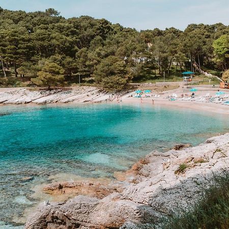 Studio Apartment Pinetree - Mali Lošinj Eksteriør billede